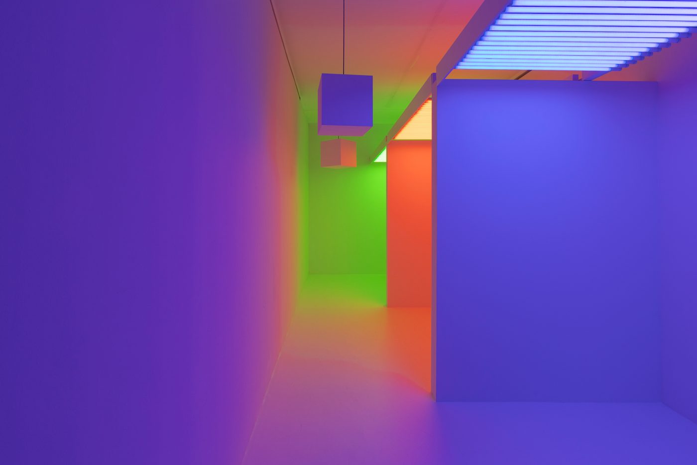 Guillermo Mora - LO_TIENES_QUE_VER_Fundacion_Juan_March_Madrid_2025_008