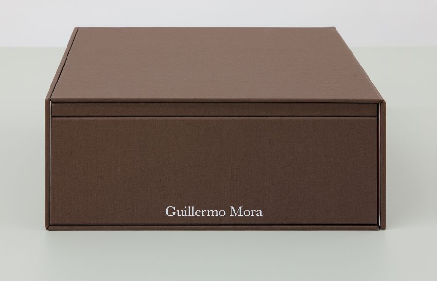 Guillermo Mora - GUILLERMO_MORA_Interaction_of_002