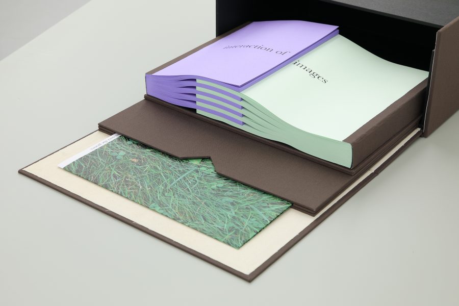 Guillermo Mora - GUILLERMO_MORA_Interaction_of_006