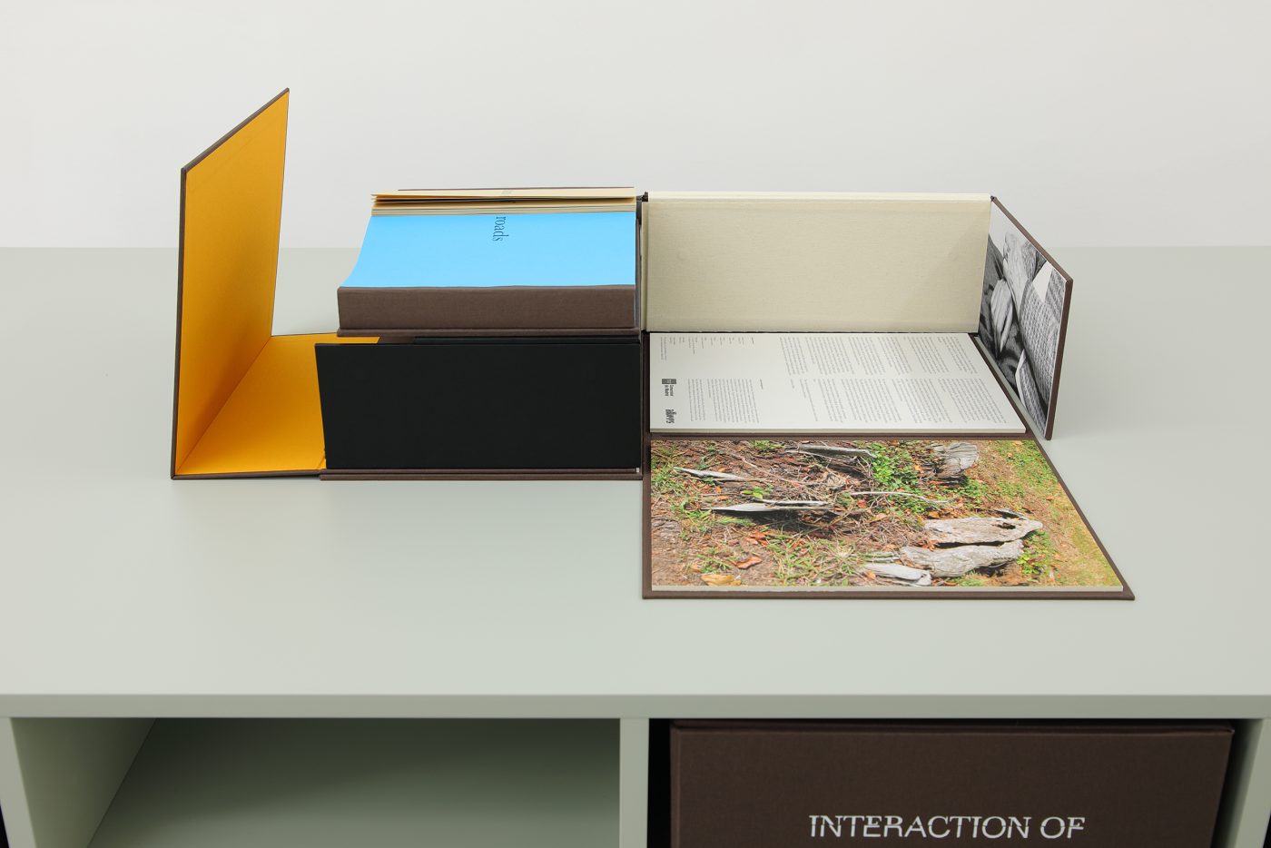 Guillermo Mora - GUILLERMO_MORA_Interaction_of_012