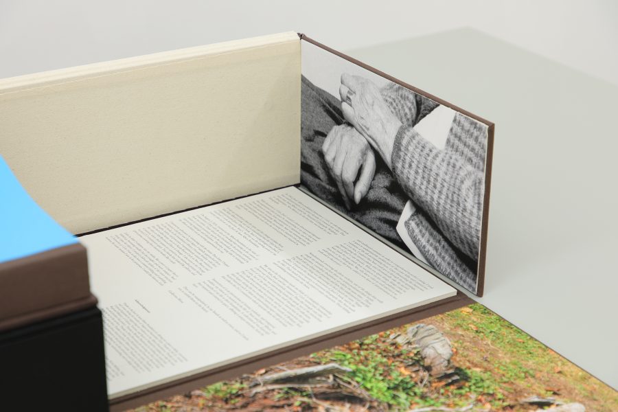 Guillermo Mora - GUILLERMO_MORA_Interaction_of_014