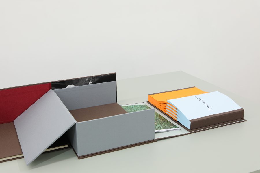 Guillermo Mora - GUILLERMO_MORA_Interaction_of_017