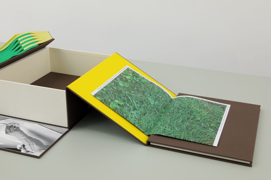 Guillermo Mora - GUILLERMO_MORA_Interaction_of_021