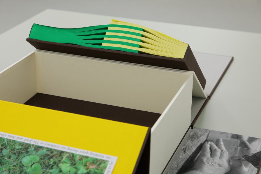 Guillermo Mora - GUILLERMO_MORA_Interaction_of_022