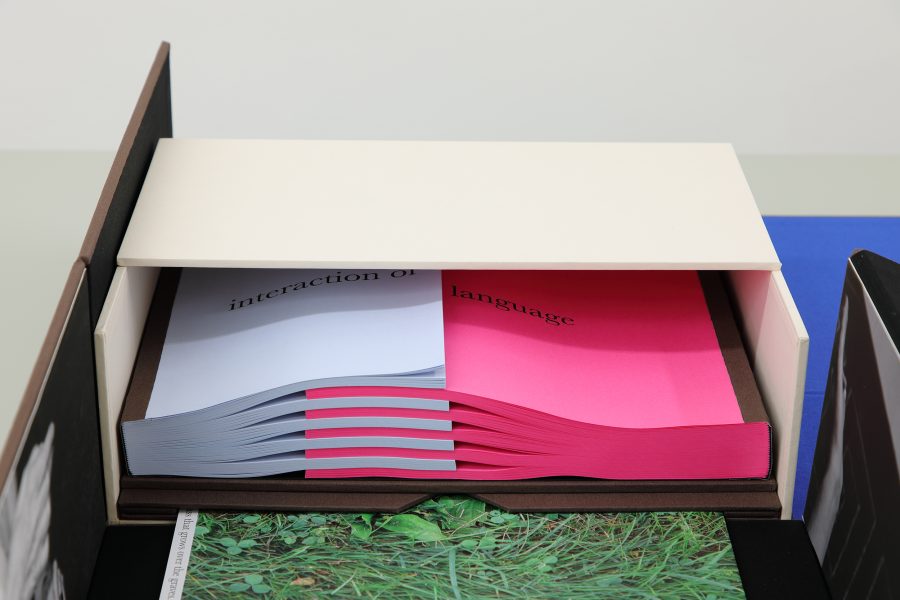 Guillermo Mora - GUILLERMO_MORA_Interaction_of_034