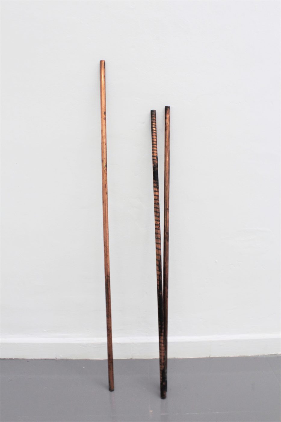 Guillermo Mora - Inma-Herrera-Baculum