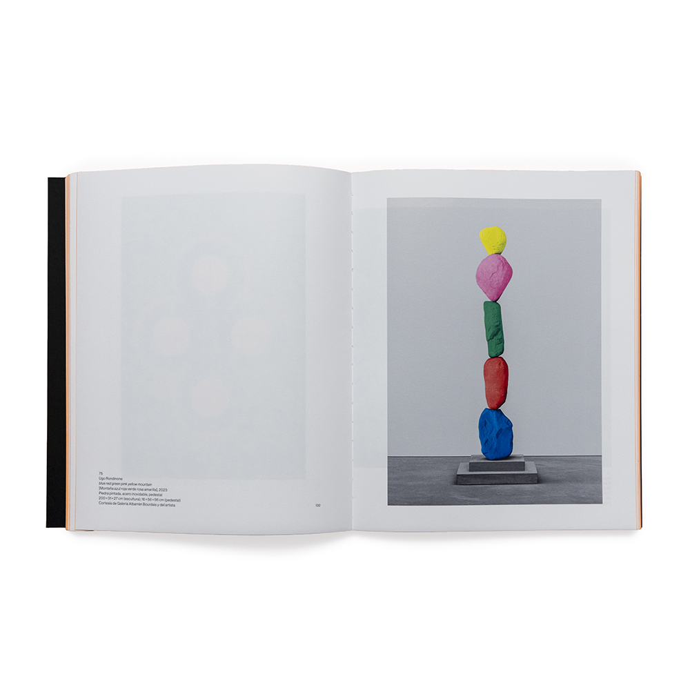 Guillermo Mora - LO_TIENES_QUE_VER_Fundacion_Juan_March_Catalogo_imagen_007