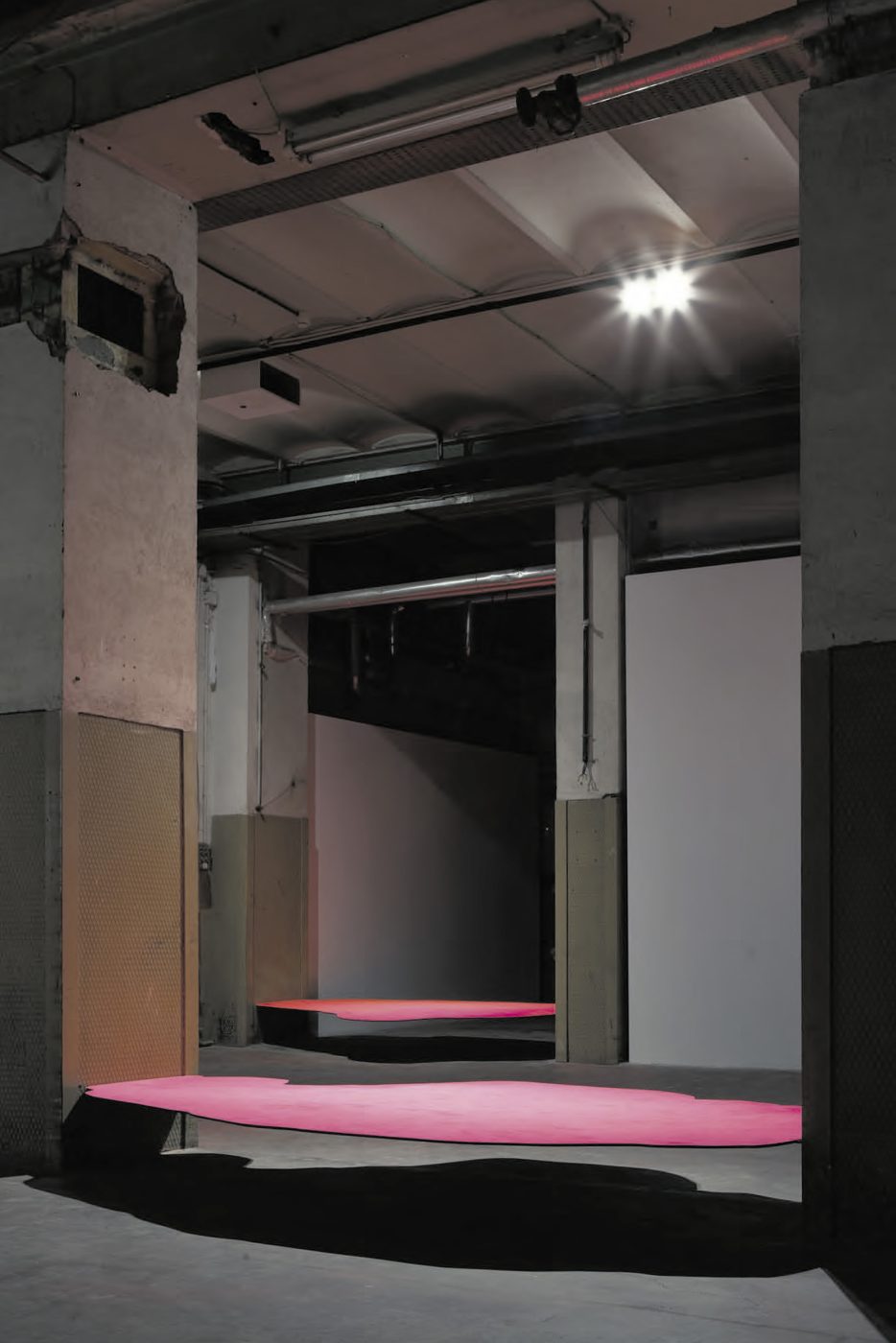 Guillermo Mora - OCHO CUESTIONES ESPACIALMENTE EXTRAORDINARIAS_Tabacalera_2014_010