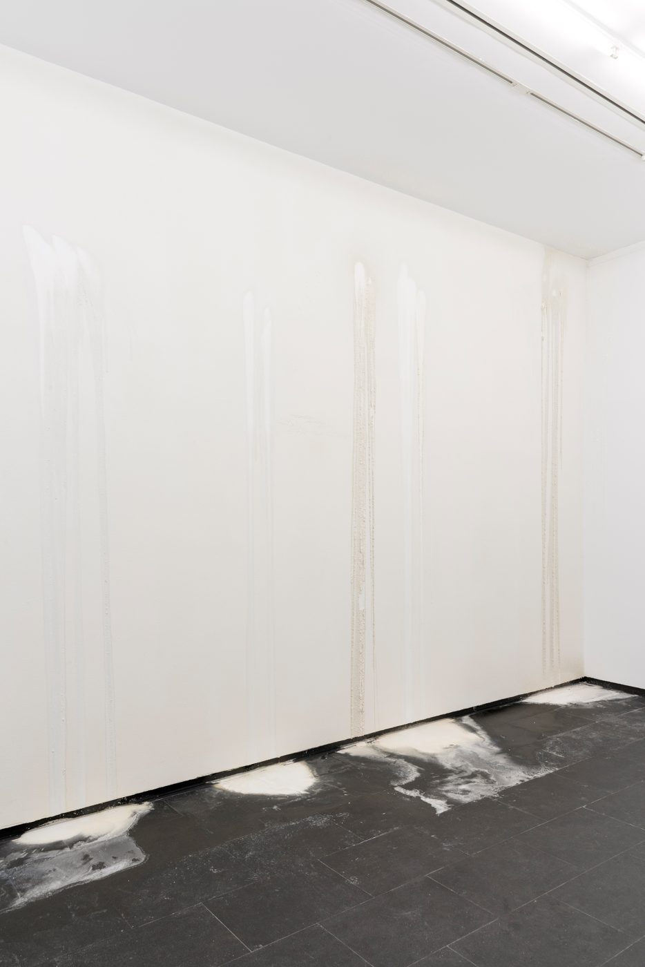 Guillermo Mora - QUERER_PARECER_NOCHE_CA2M_2019_Vista_021