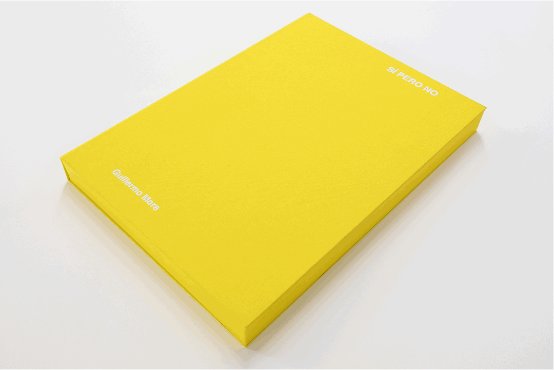 Guillermo Mora - XI PREMI SALOU DE RECERCA PICTÒRICA