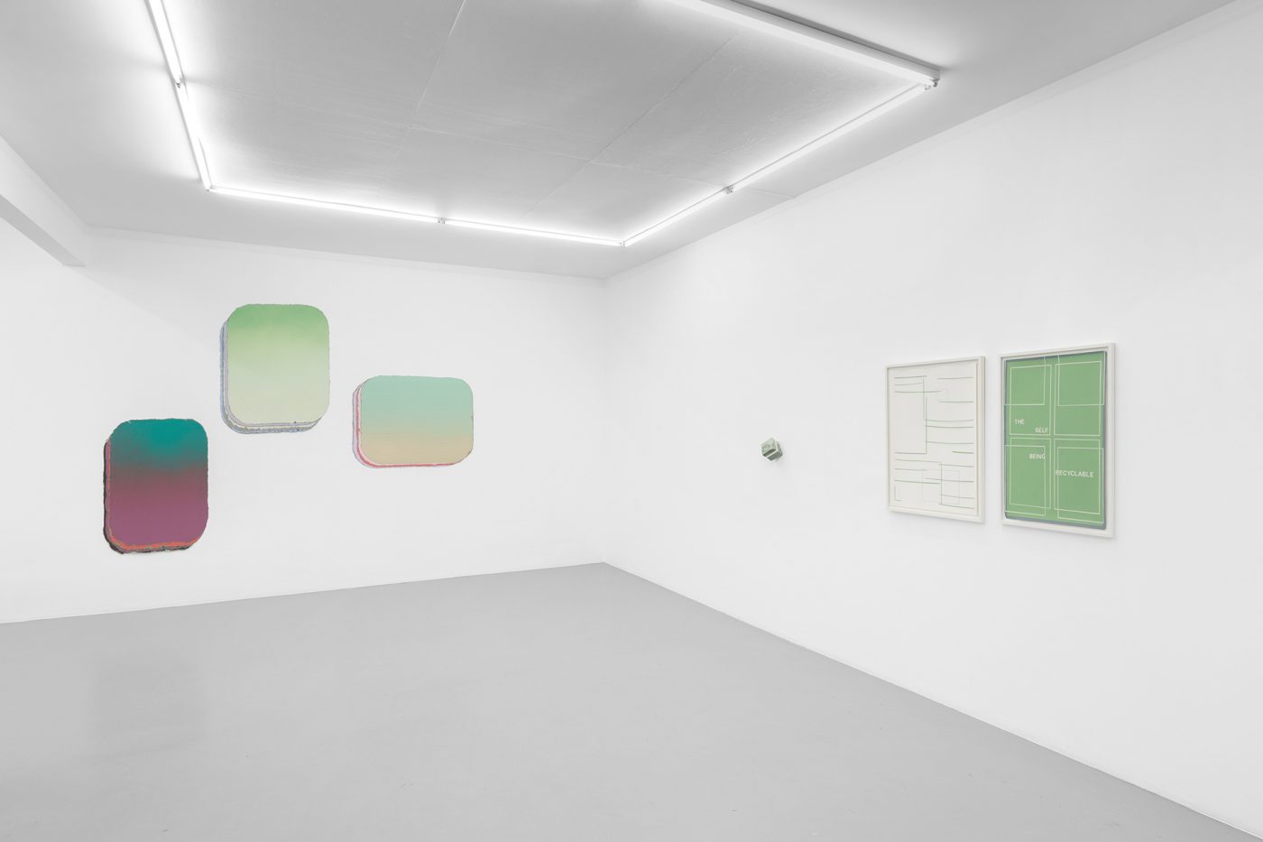 Guillermo Mora - 530_nanometres_Irene_Laub_Gallery_2026_002