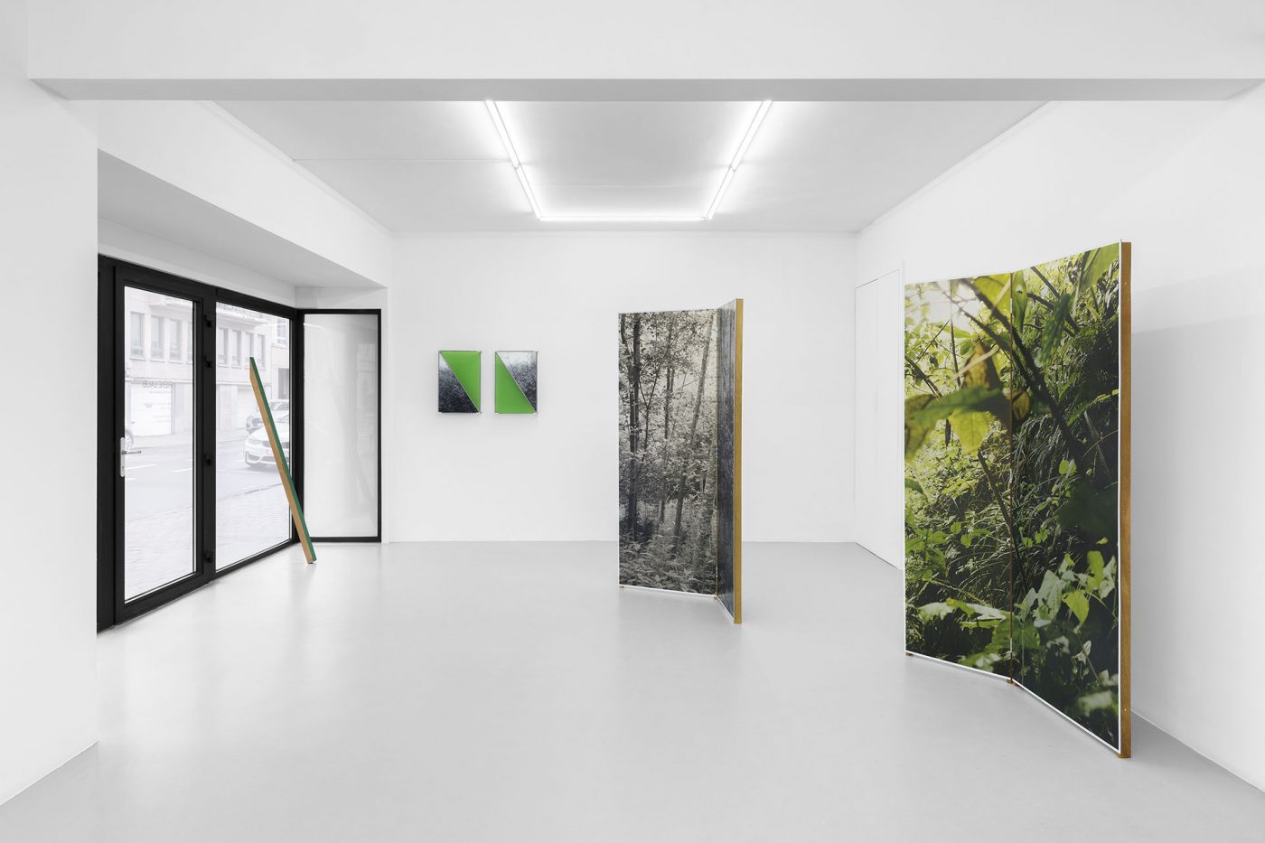 Guillermo Mora - 530_nanometres_Irene_Laub_Gallery_2026_004