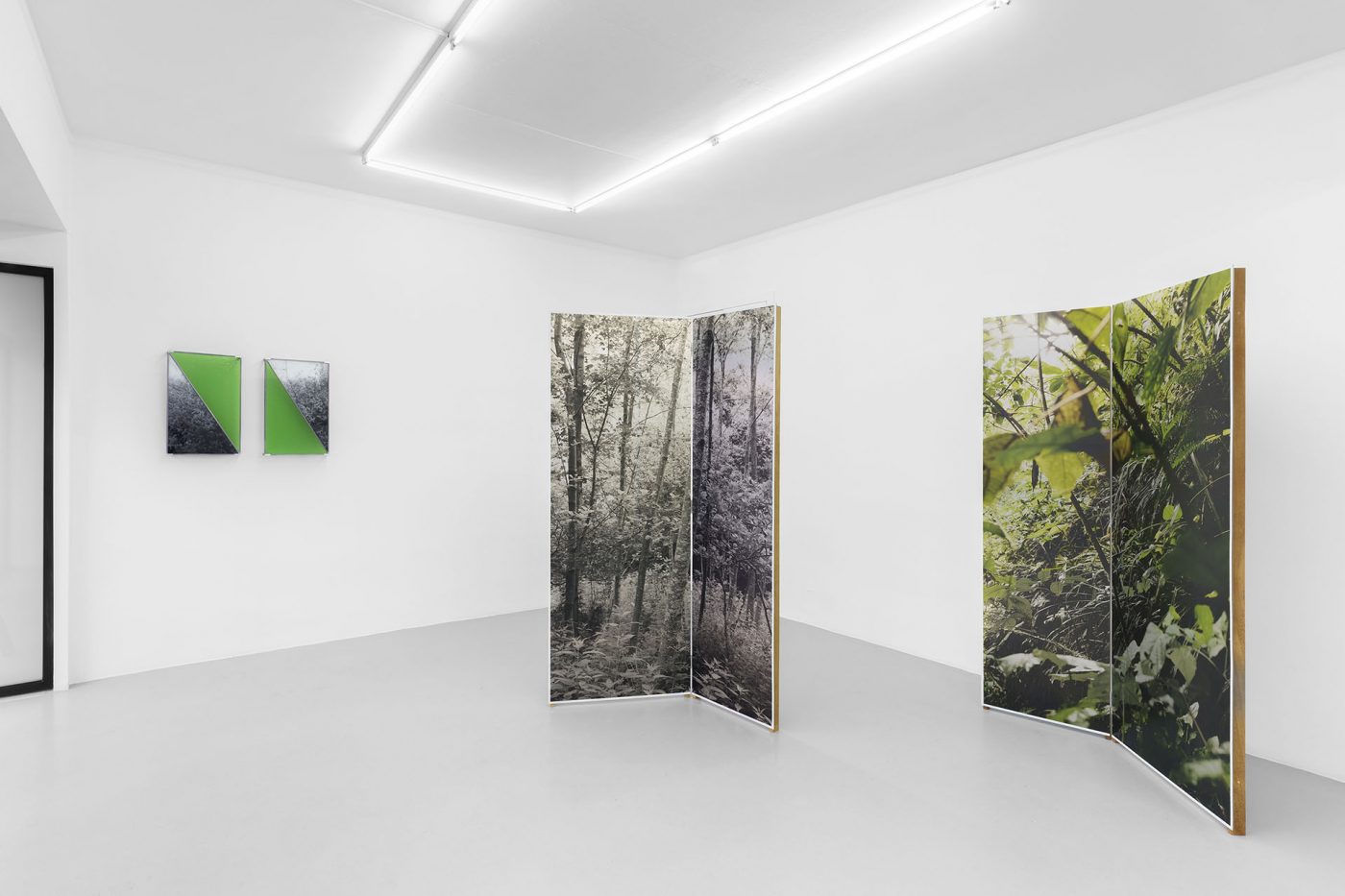 Guillermo Mora - 530_nanometres_Irene_Laub_Gallery_2026_005