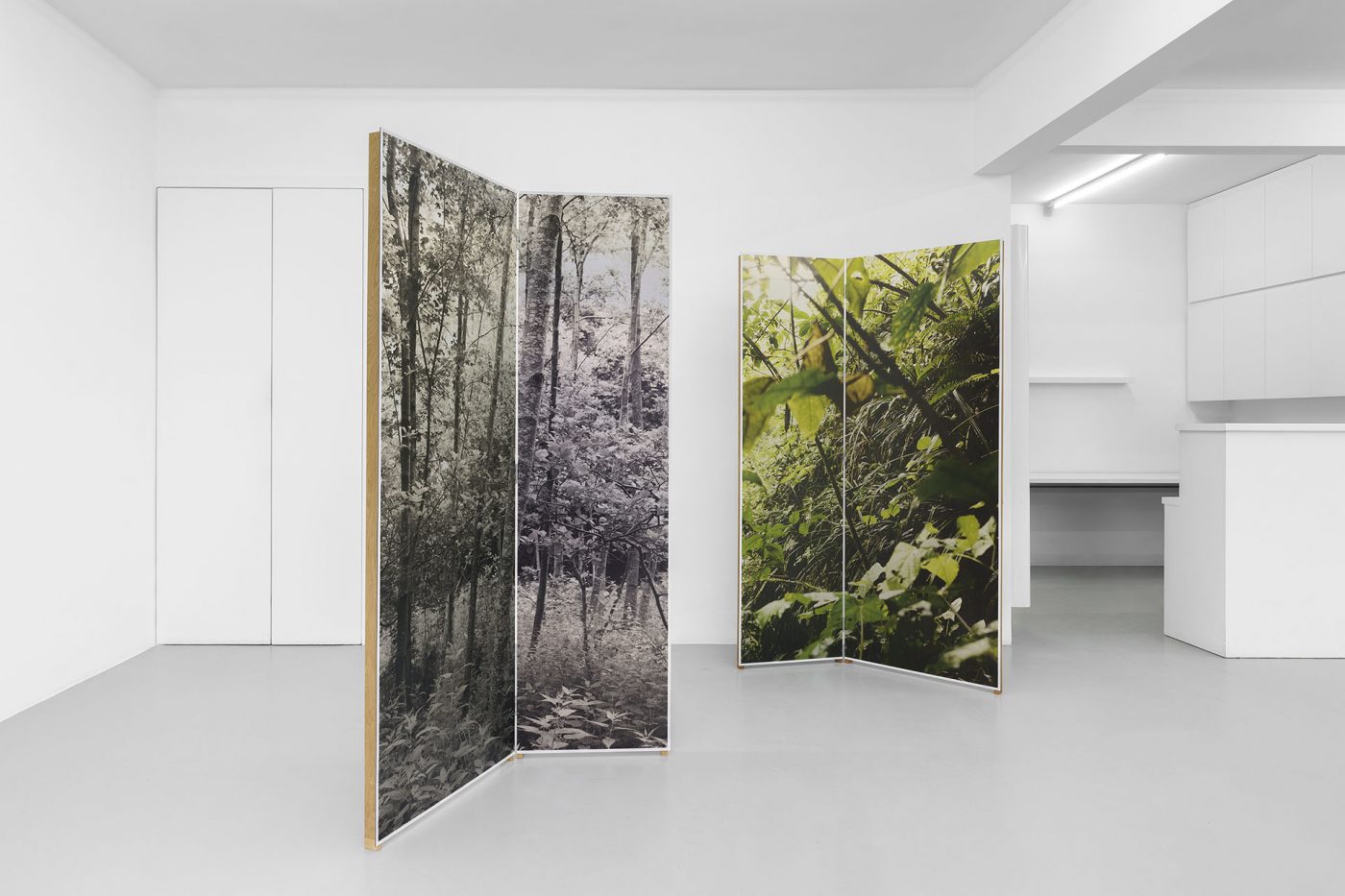 Guillermo Mora - 530_nanometres_Irene_Laub_Gallery_2026_006