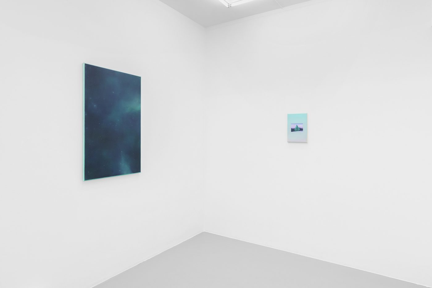 Guillermo Mora - 530_nanometres_Irene_Laub_Gallery_2026_007